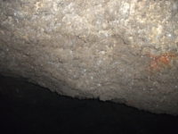 Grotta_Scannato - 29042012 022.jpg